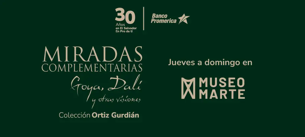 2web-banner-miradas-complementarias-1
