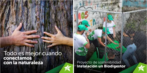 biodigestor?format=webp&width=500&quality=75