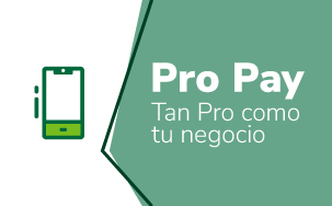 imagenes-web nueva-medida pro-pay