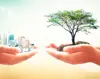 Somos un Banco Verde