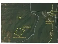 Property Detail