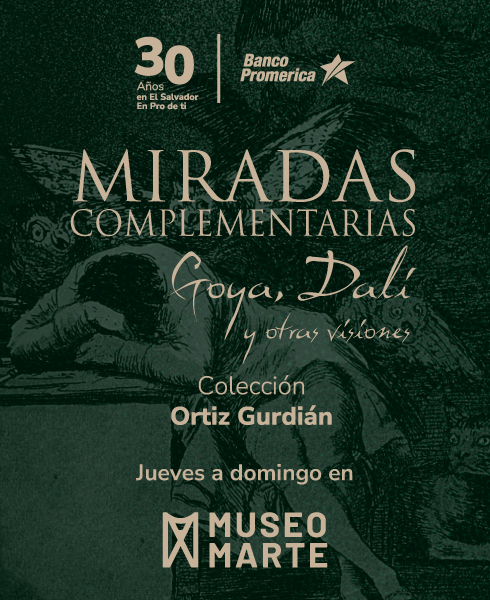 banner-movil-miradas-complementarias