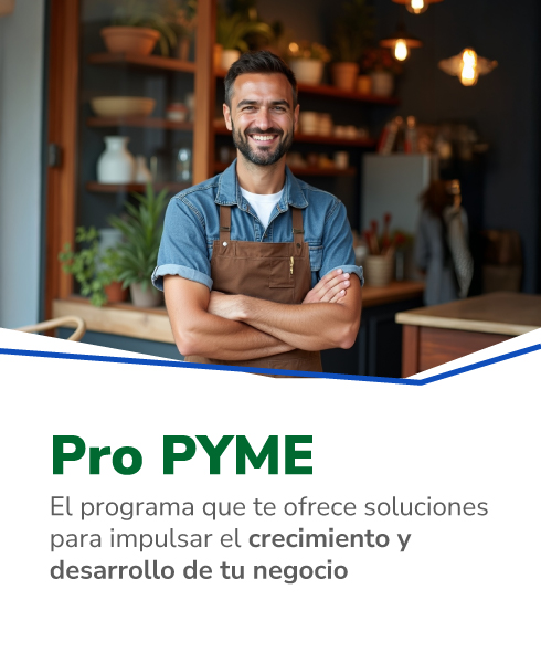 banner-web nueva-medida pro-pyme-36