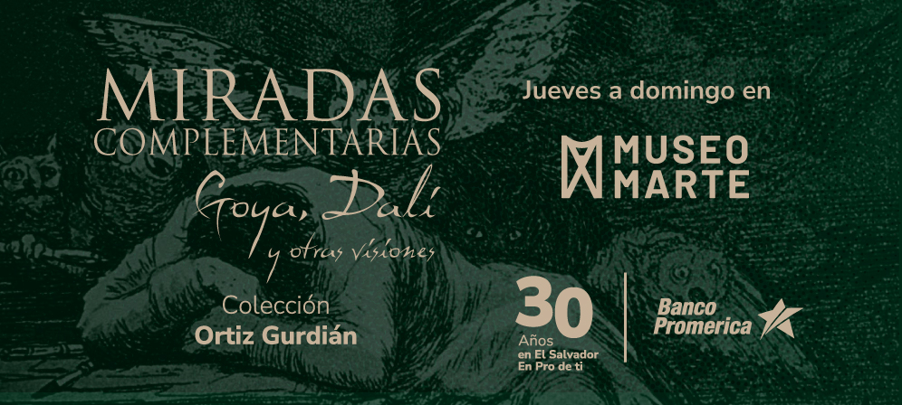 web-banner-miradas-complementarias