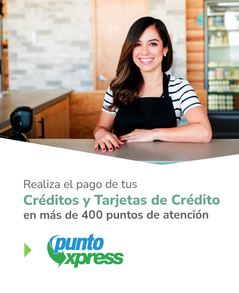 banner-web nueva-medida punto-express-movil
