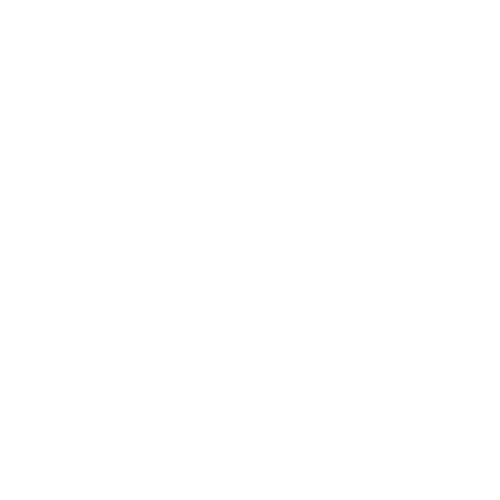 Seguridad
